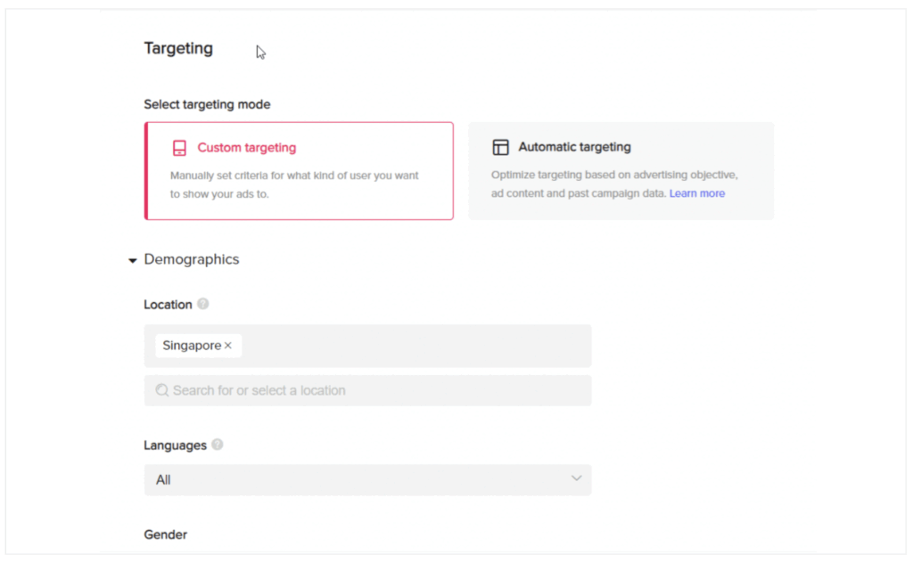 How to set up TikTok Lead Generation: Define your audience