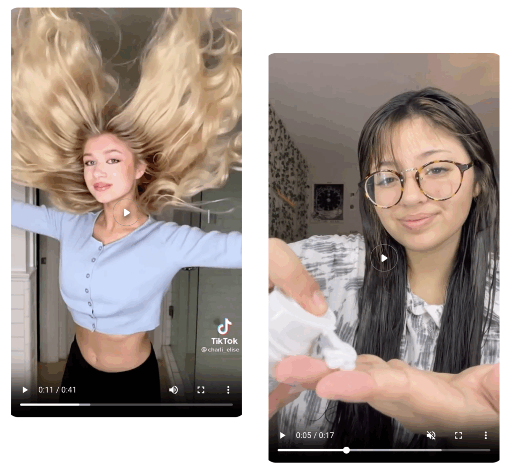 Types of TikTok ads example