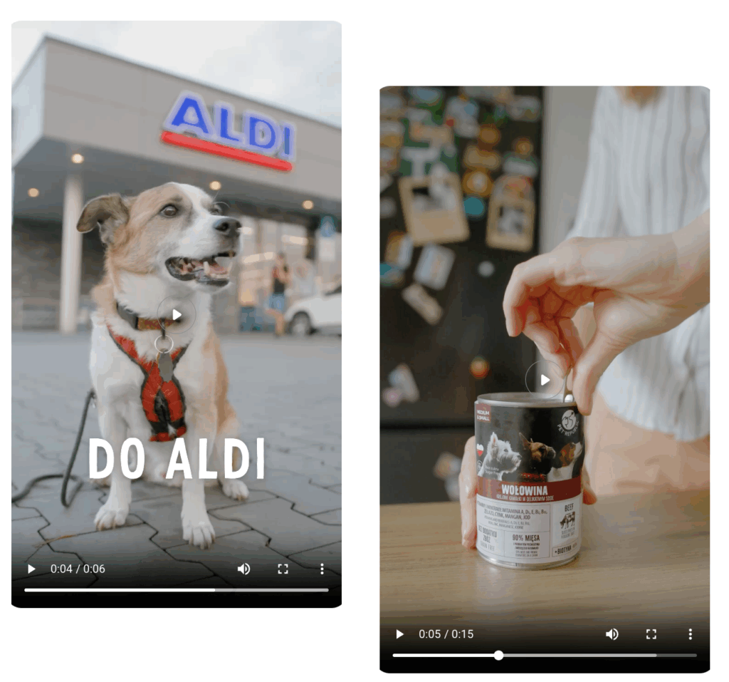Types of TikTok ads example