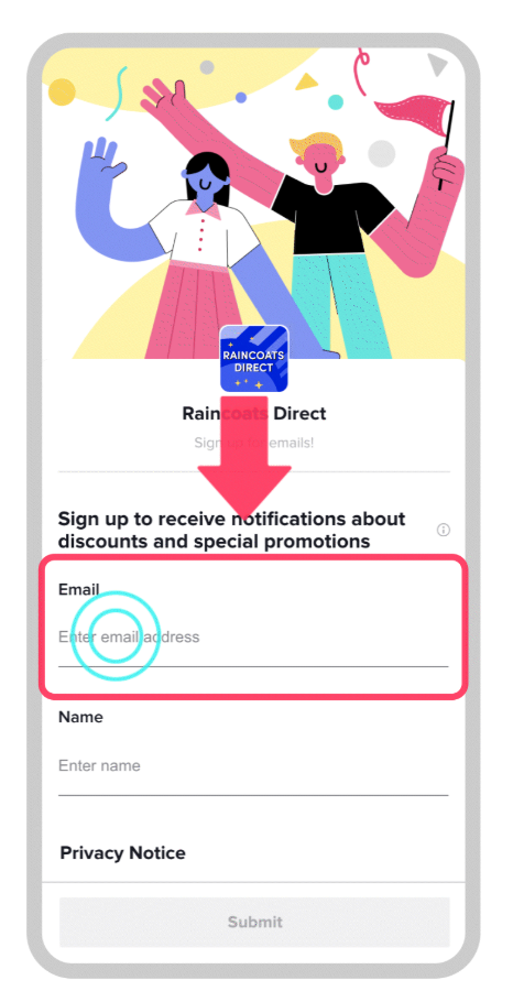 TikTok instant form data capture UI